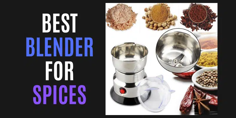 Best blender for spices